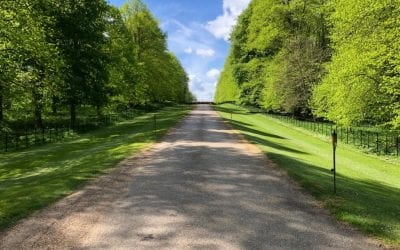 Braxted Park in Essex