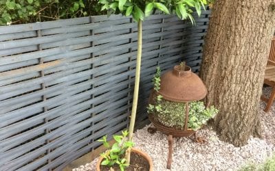 Steel Woven Fencing in Hampshire