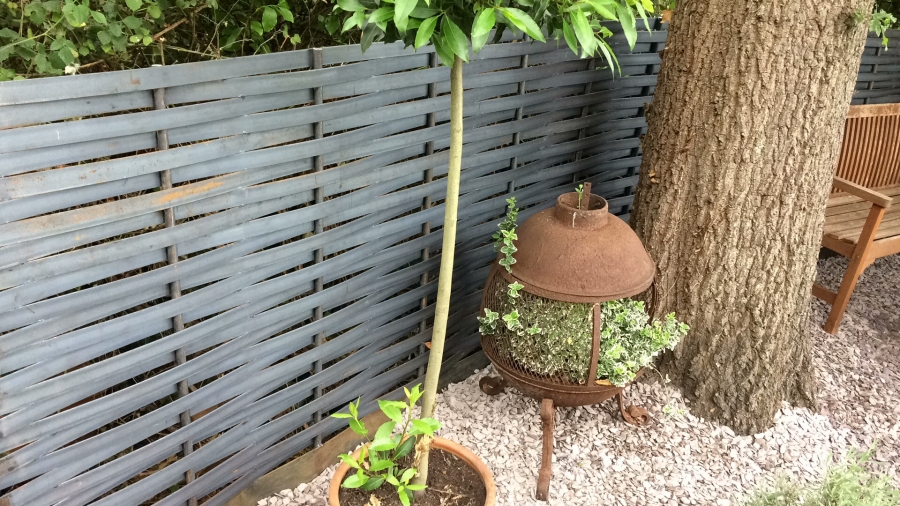 Steel woven fencing forms a back drop to a gravelled garden area wtih planters and tree