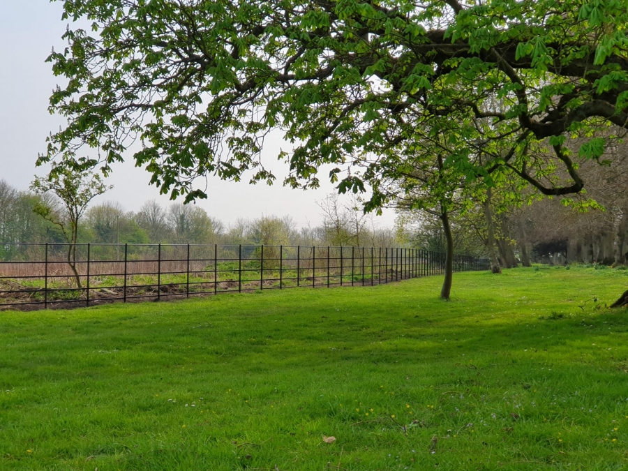 Metal fencing behind a grassy area with large mature tree