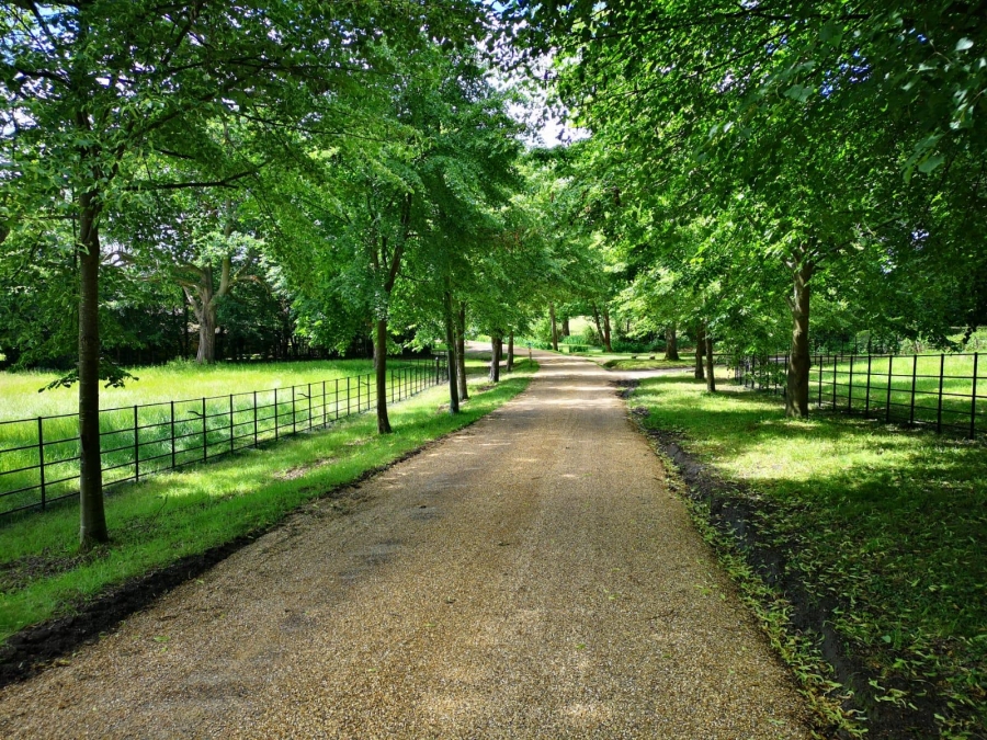 Leafy gravel driveway is bordered by iron fencing