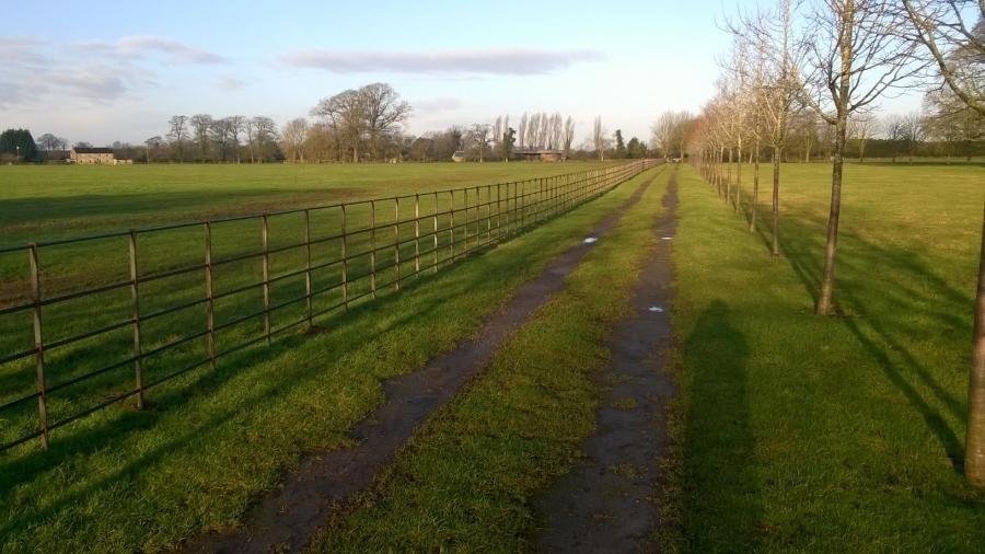 c889234799e865bbe90cee71f6cd2e53_XL Fencing used to border a green driveway, with pasture to either side