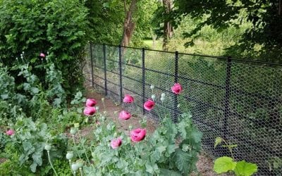 Estate Fencing with rabbit netting in Cambridgeshire