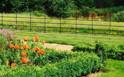 Forming an edge in your garden