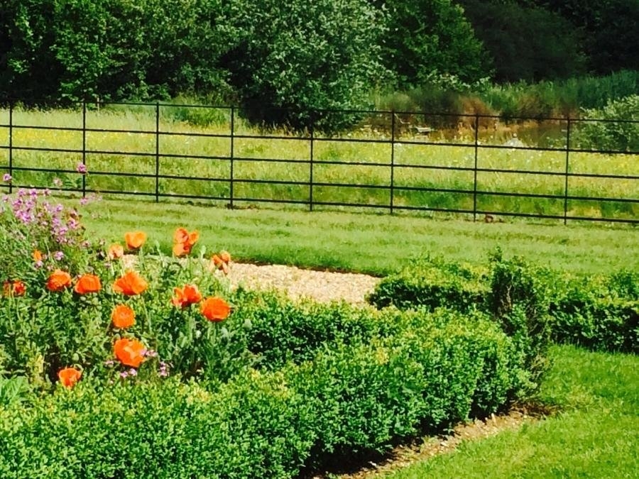 c9b002fe1bb0320831a8ae78670fdb6f_XL A garden with orange poppies and other plants is boundaried with metal fencing