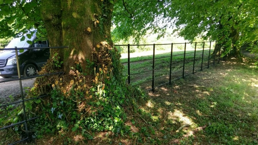 ccb4e23c8aa216f1e96d31ab209c036b_XL A five barred iron fence blends in perfectly with the existing trees on the boundary line