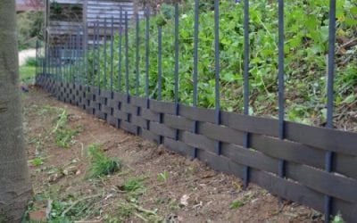 Turning a wild grassy bank into something special