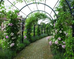 rose arch on garden path