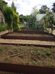 raised steel beds in garden design