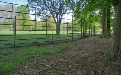 Deer Fence Installation in Warwickshire