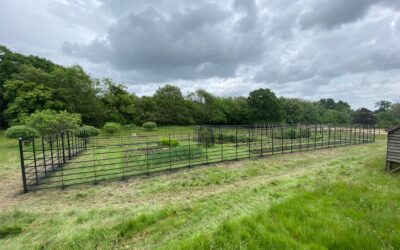 Deer Fence in East Sussex