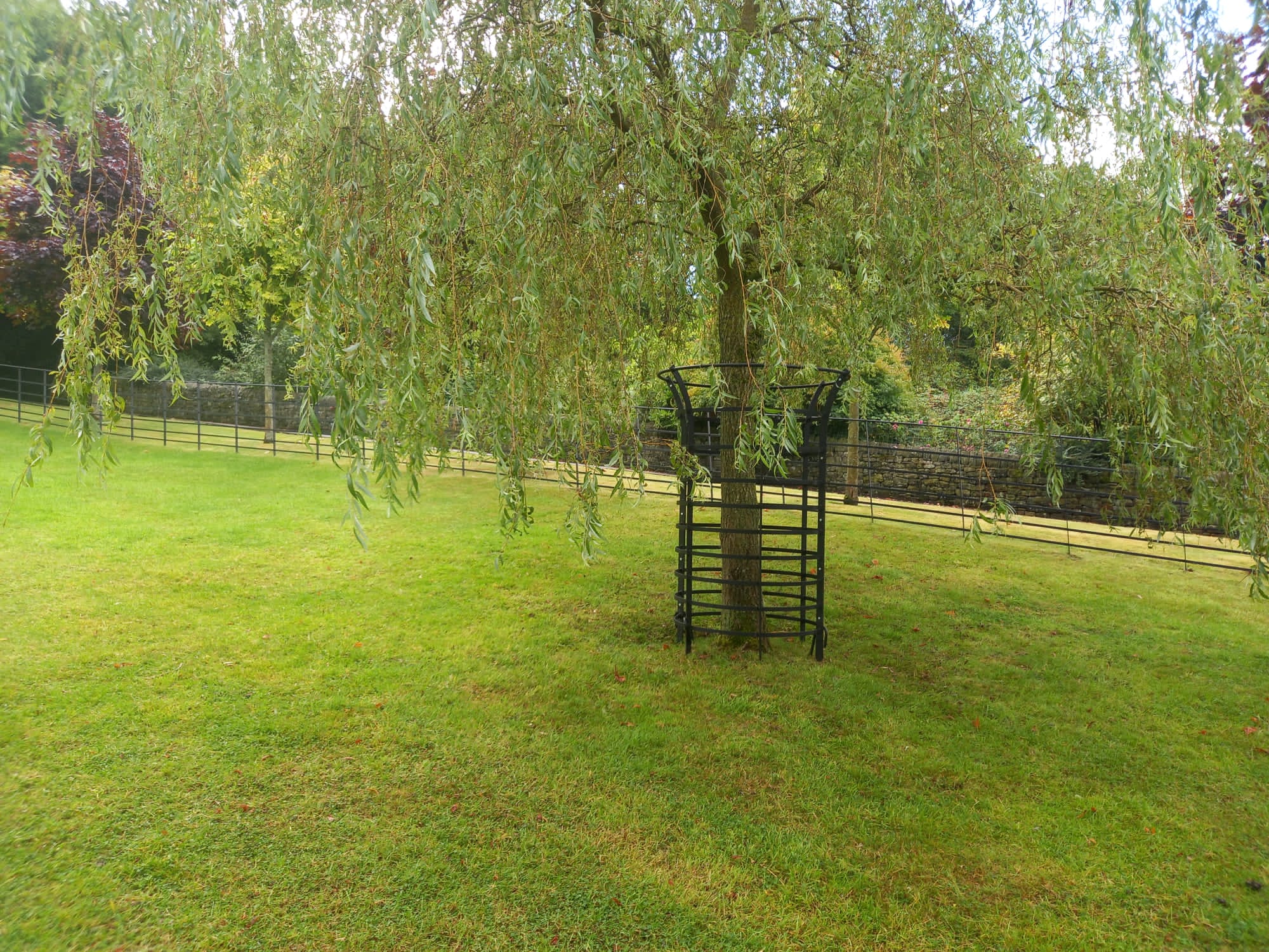 tree-guards-1