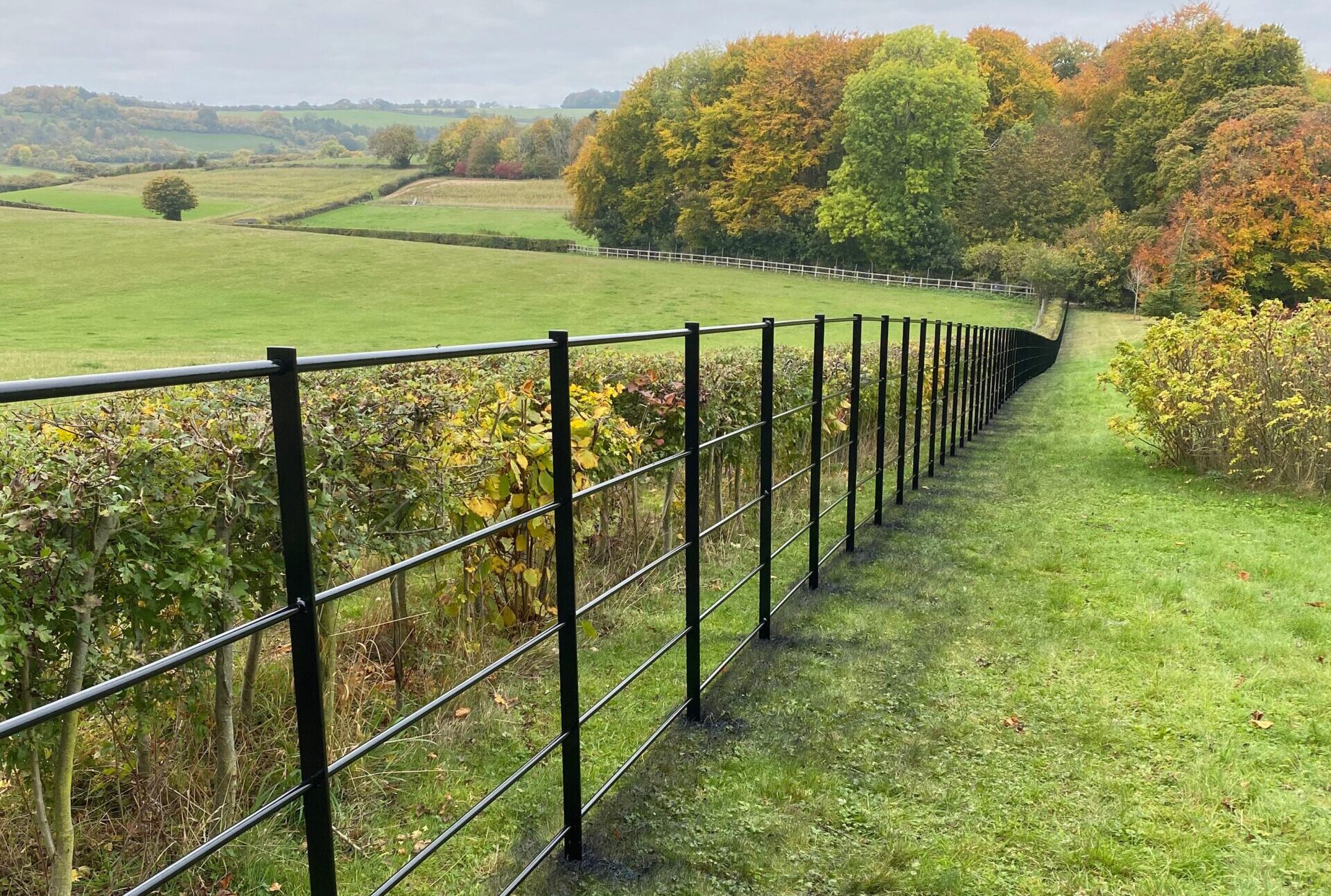 Fence