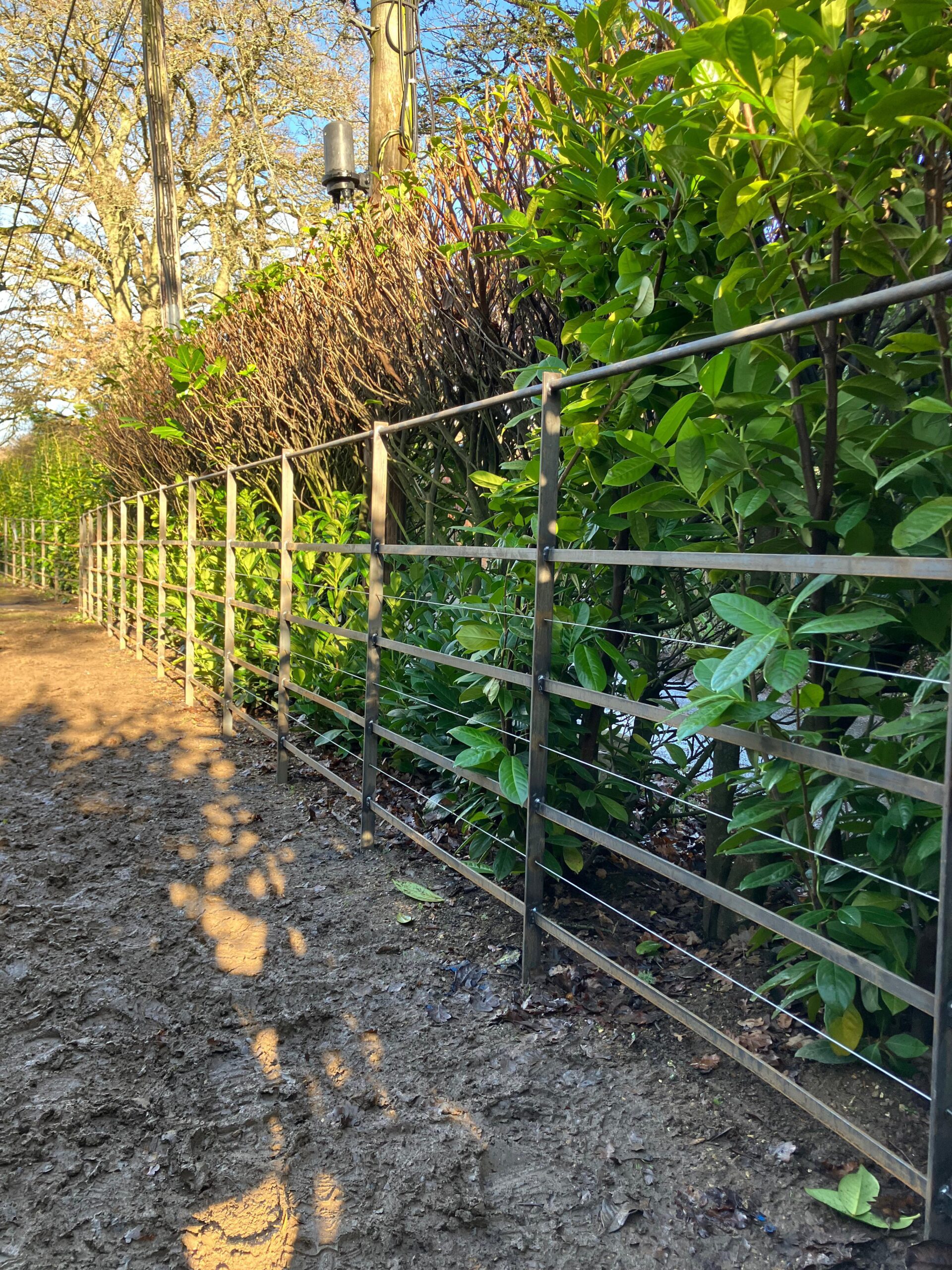 fence with lamb wire