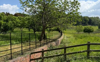 Why Choose Steel Estate Fencing Over Traditional Timber Post & Rail?