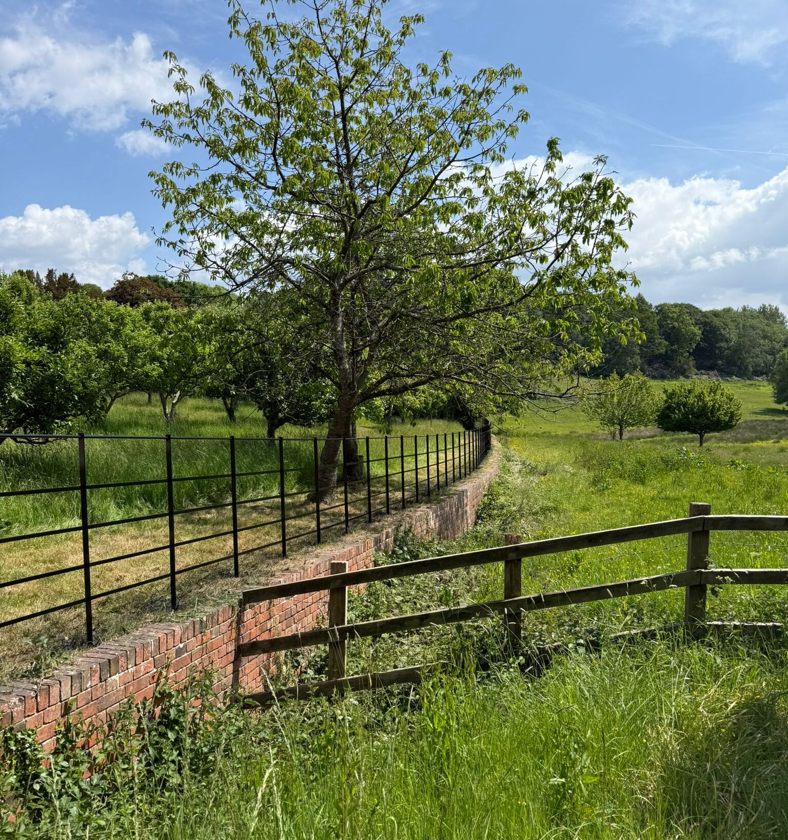 estate fencing and post and rail